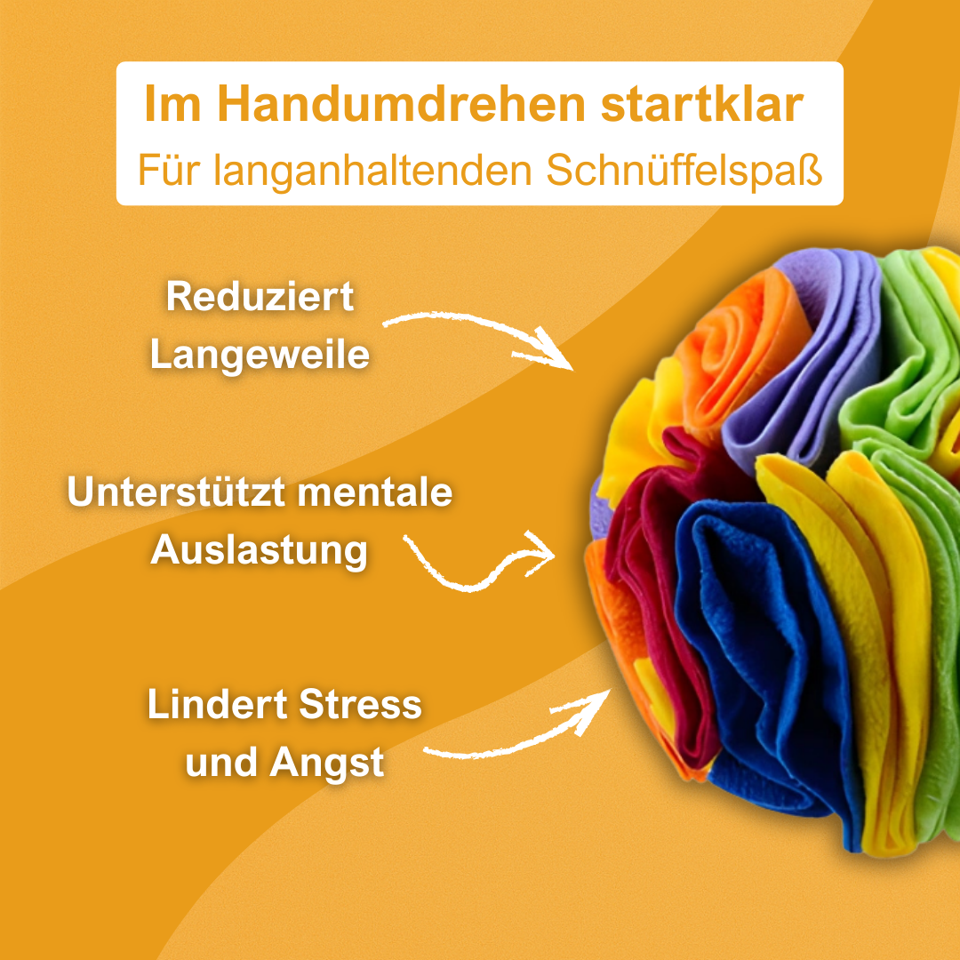 PfotenZuhause™ -  Schnüffelspaß