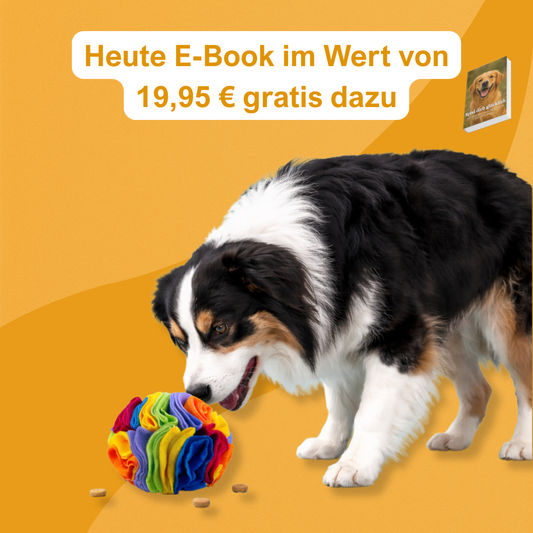 PfotenZuhause™ -  Schnüffelspaß