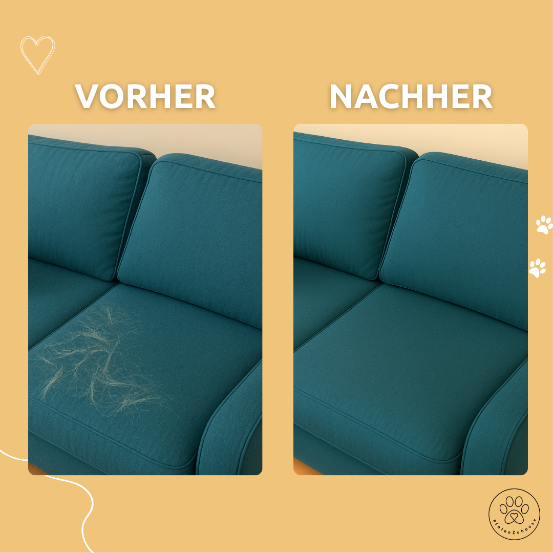 PfotenZuhause™ 3-in-1 Tierhaarentferner