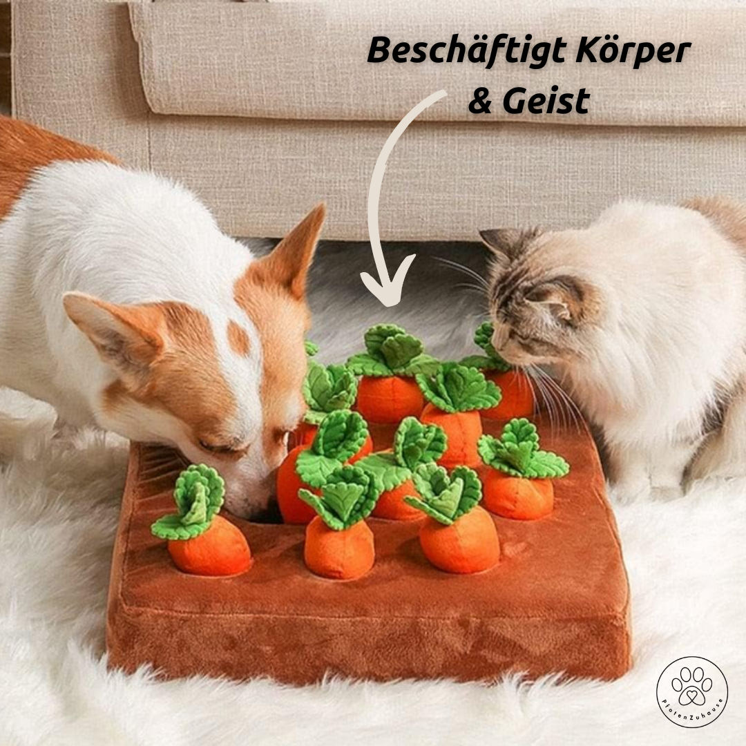 PfotenZuhause™ Karotten-Feld