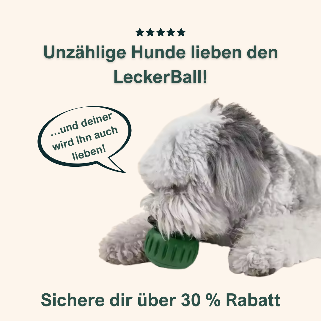 PfotenZuhause - Leckerball