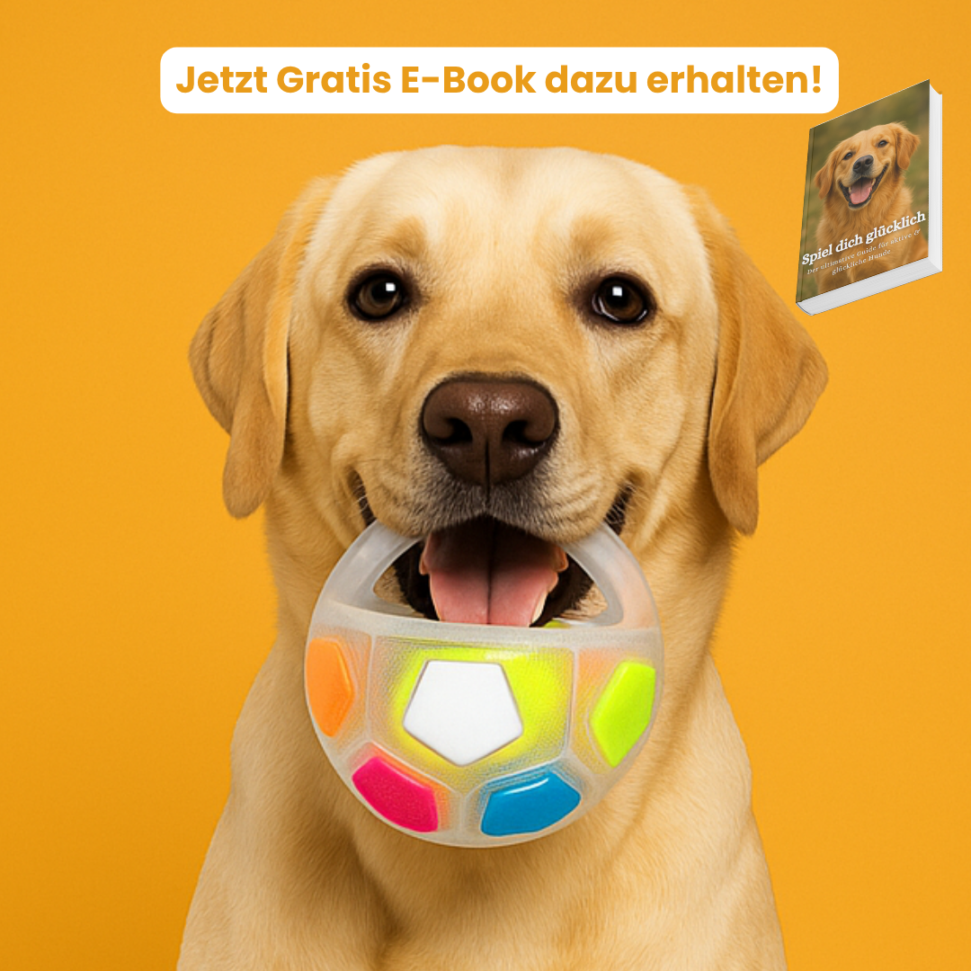 PfotenZuhause™ Anti-Stressball