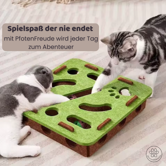 PfotenFreude™ Interaktives Katzenspielzeug
