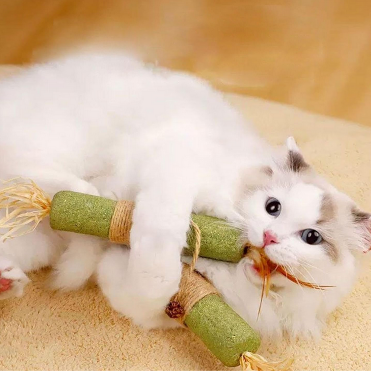 PfotenZuhause™ Natürlicher Katzenstick